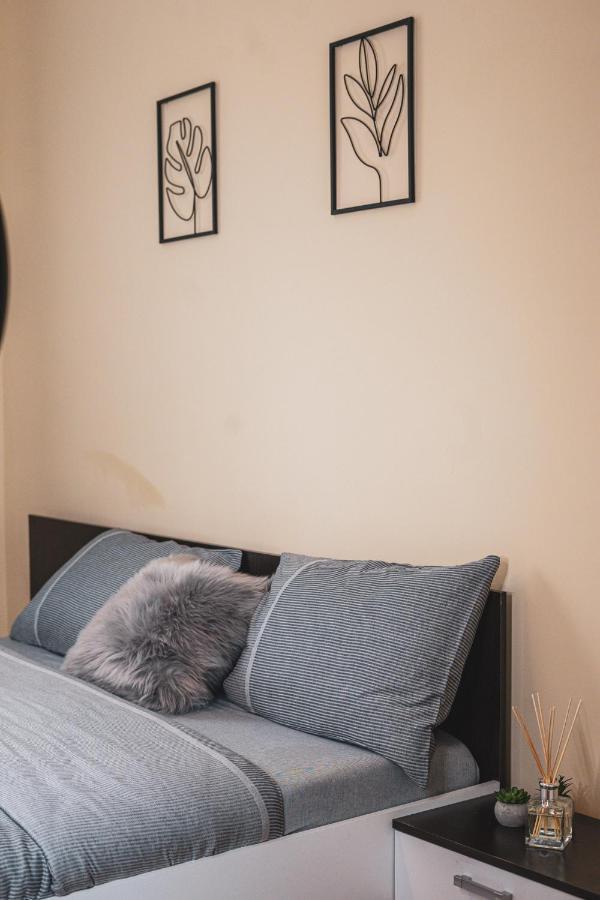 Central And Modern Apartment With Free Parking تيميشورا المظهر الخارجي الصورة